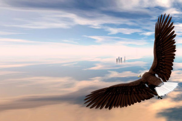 رازهای موفقیت 